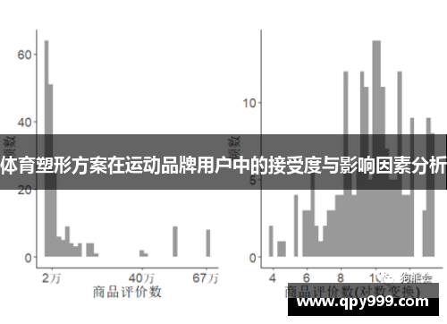体育塑形方案在运动品牌用户中的接受度与影响因素分析